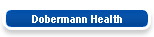 Dobermann Health